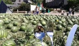 朝阳吃瓜群众网